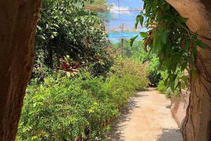 Life on the Lake & Nature's Beauty: Mechrey & Butterfly Paradise
