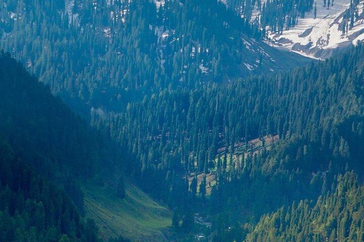 6 Days Private Tour in Kashmir Valley