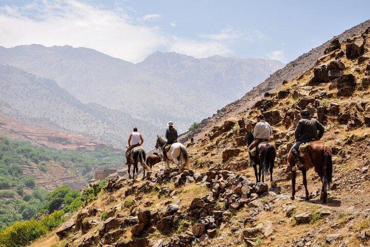 From Marrakech to Atlas Mountains & Berber Villages/guided walk
