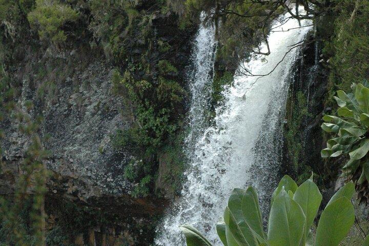 3 Days Aberdare National Park Safari