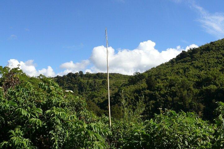 3 Days Aberdare National Park Safari