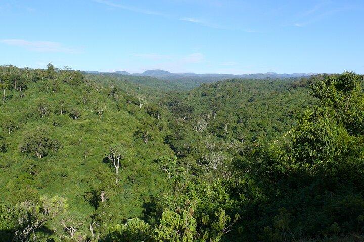 3 Days Aberdare National Park Safari