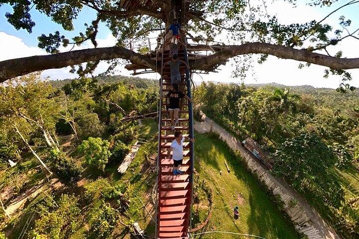 2in1: Los Haitises National Park + Yanigua Waterfall-SPA