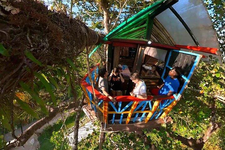 2in1: Los Haitises National Park + Yanigua Waterfall-SPA