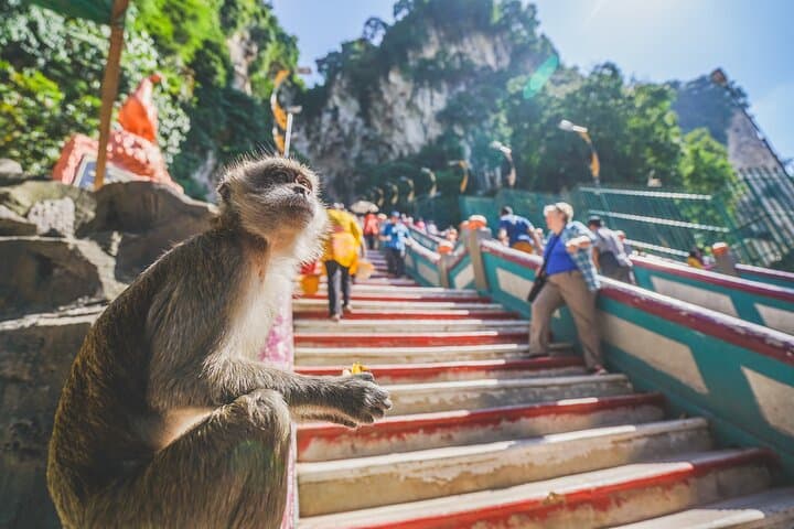 Private Half-Day Batu Caves and Cutural Tour in Kuala Lumpur