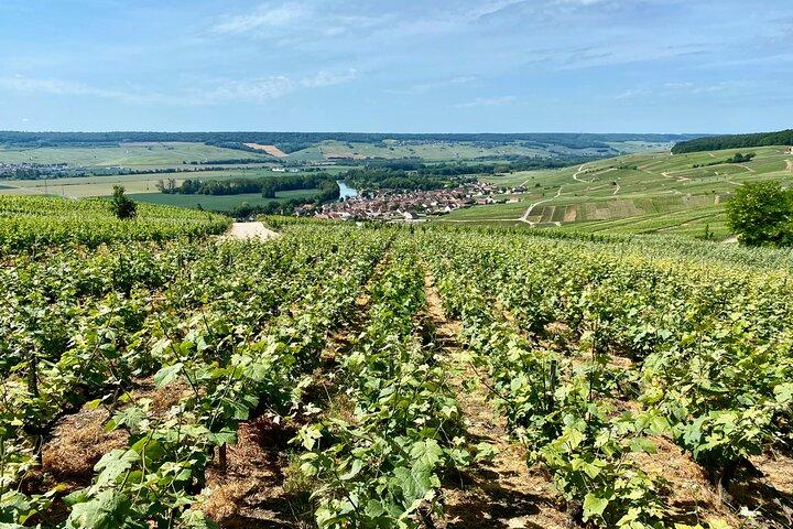 DeLuxe DOM PERIGNON Champagne Tastings Cellars trip from Paris