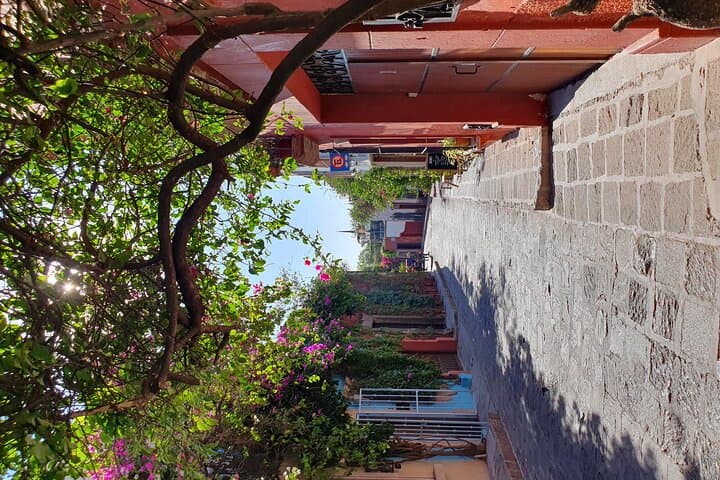 Private Transfer from Mexico City to San Miguel de Allende