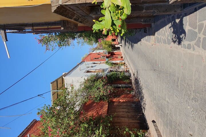 Private Transfer from Mexico City to San Miguel de Allende