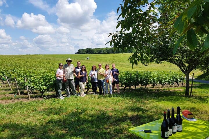 Loire Valley from Tours : Azay-le-Rideau, Villandry, 2 Wineries