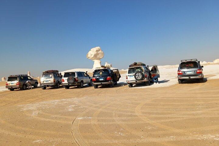 4-Day Siwa, Bahariya & White Desert Safari Adventure