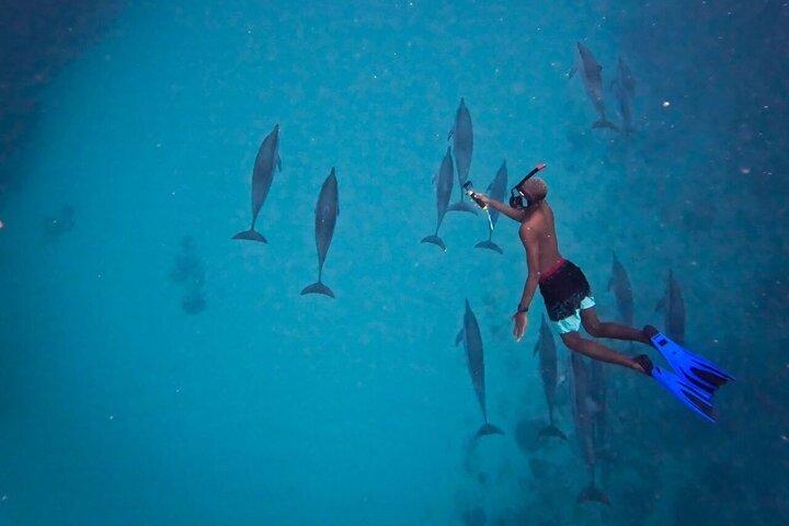 Lydia Boat Mauritius: Le Morne :Eco-Friendly Whales&Dolphins Tour