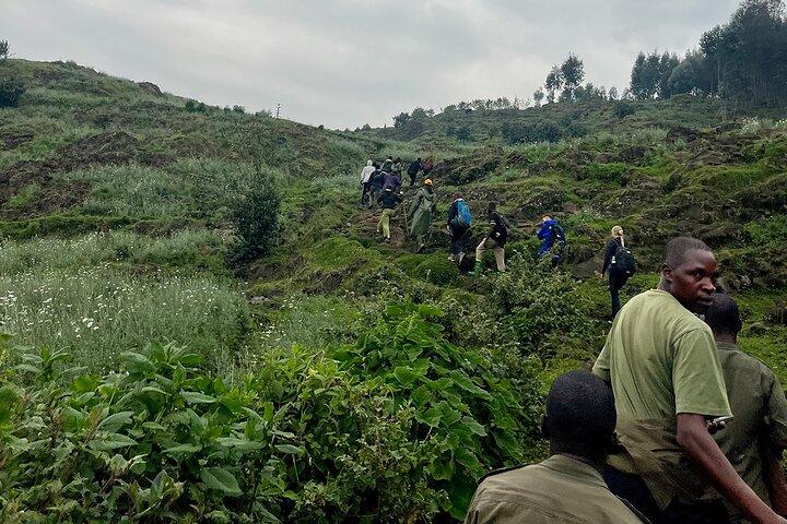 1 Day Bisoke Hike Safari at Volcanoes National Park