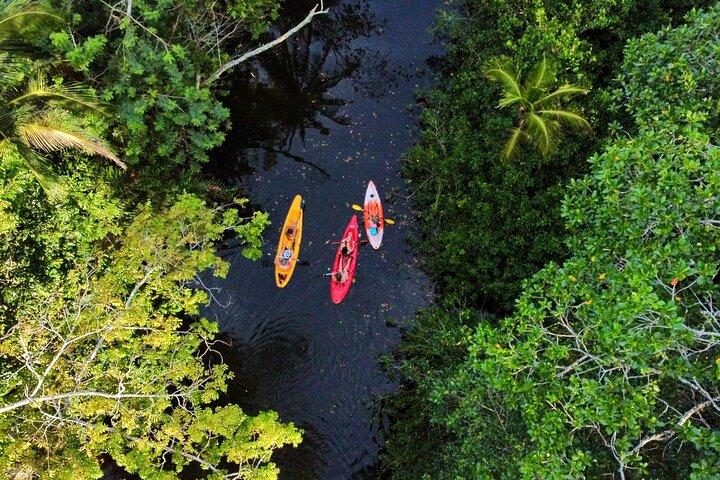 Puerto Viejo Sloth Jungle and River Kayaking Tour