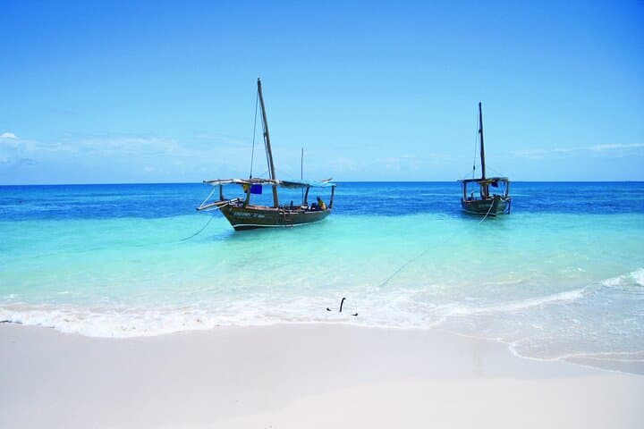 Safari Blue Private Full-Day Tour