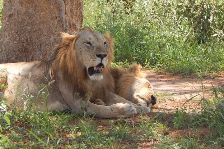 12 Days Kenya and Tanzania Tour