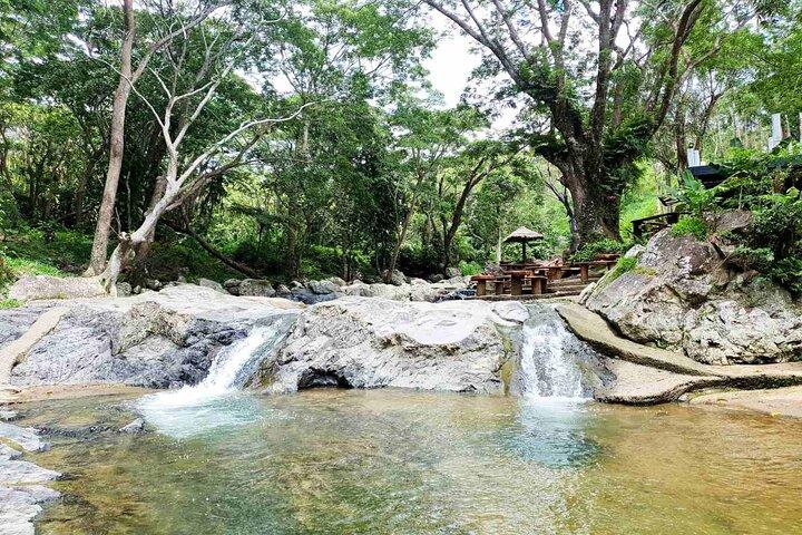 6 Hours Giant Zipline Adventure Park in Fiji