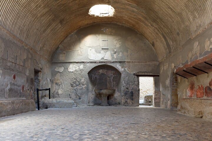 Vesuvius & Herculaneum Small Group Tour from Naples