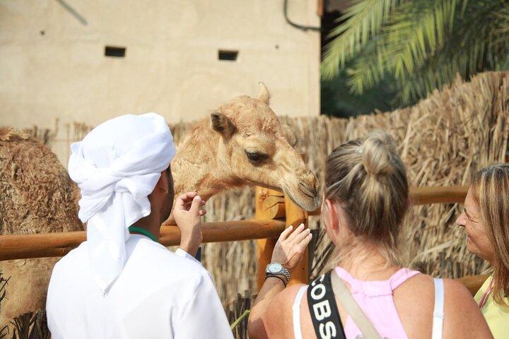 Layover & Stopover Tours in Dubai