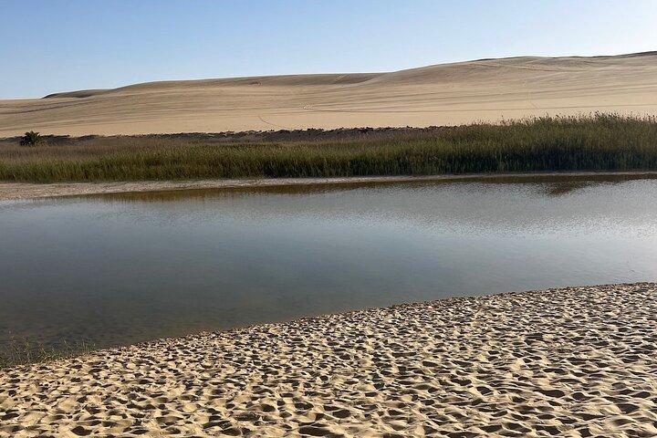 Siwa Oasis tour lifetime Experience 2 days &1night all inclusive