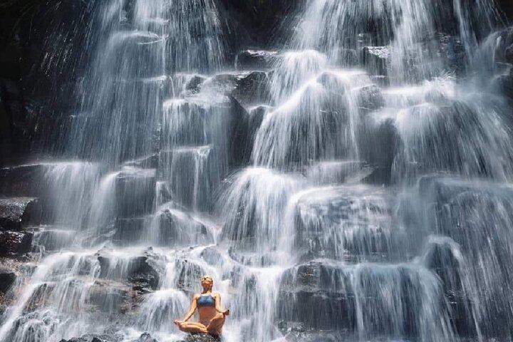 Ubud Waterfalls, Rice Terrace & Jungle Swing - Private Tour