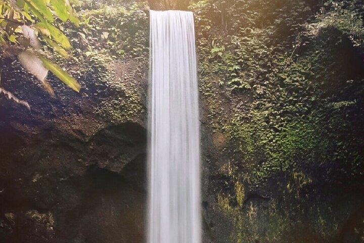 Ubud Waterfalls, Rice Terrace & Jungle Swing - Private Tour