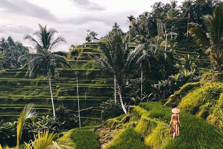 Ubud Waterfalls, Rice Terrace & Jungle Swing - Private Tour