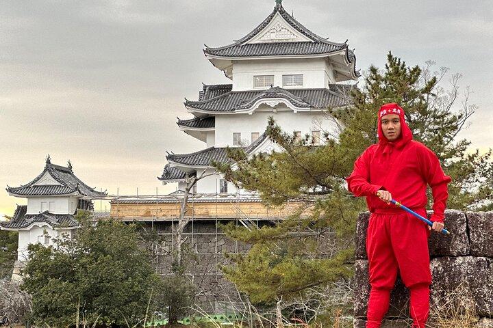IGA the Birthplace of Ninja with Private Car & Driver (Max 9 Pax)