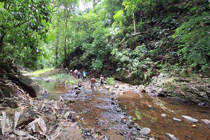 Tour to a waterfall and Embera village with lunch included