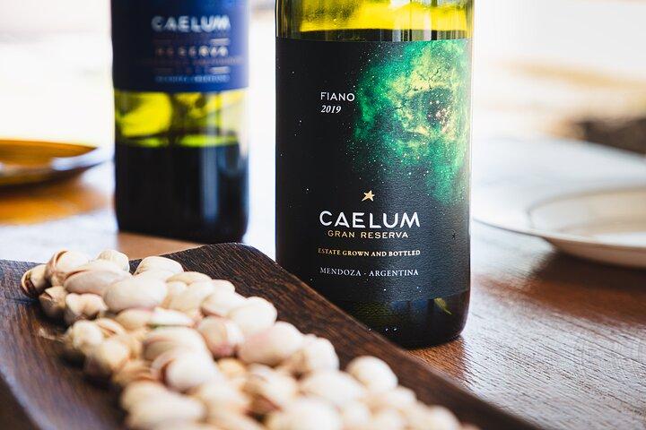 Lujan Deluxe - Full day - Premium Wine Tour with Gourmet Lunch