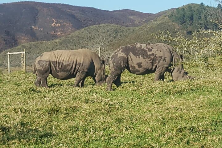 Garden Route Experience