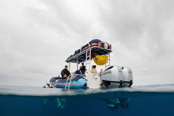 The Best 2 Hour Molokini Express Snorkeling