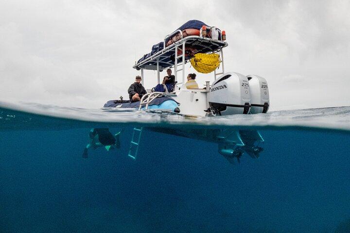 The Best Maui 3 Hour Molokini and Turtle Town Snorkel