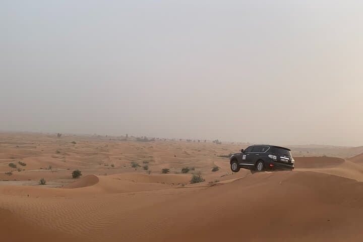 Dubai Desert Safari-BBQ Dinner, Belly Dance, Fire show