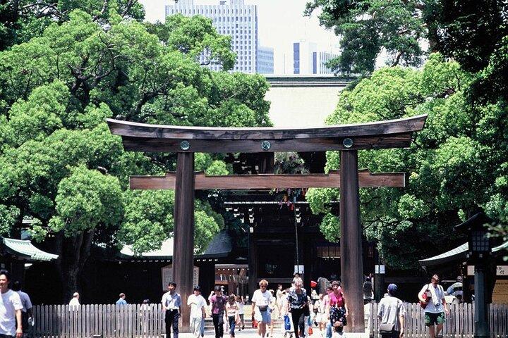 Tokyo 1-Day Bus Tour, pickup from 28 designated hotels in Tokyo