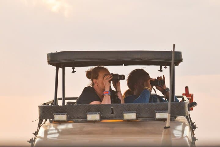 Half Day Nairobi National Park Safari