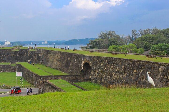 Private Tour Southern Sri Lanka from Colombo