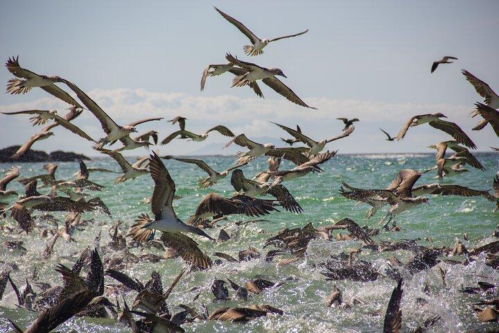 8 Days Trip to Galapagos Island - Discover the wildlife