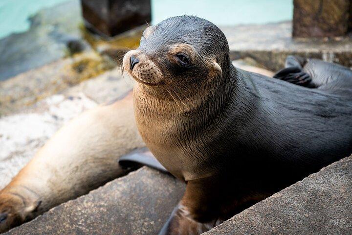 8 Days Trip to Galapagos Island - Discover the wildlife