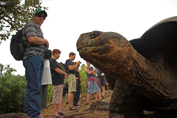 8 Days Trip to Galapagos Island - Discover the wildlife