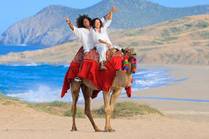Beach CAN-AM SXS X3 and Camel Ride in Cabo