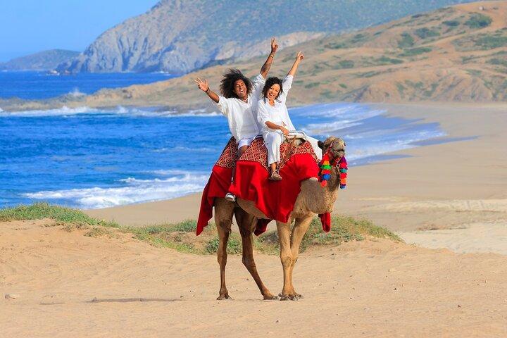 Beach, ATV, and Camel Ride Combo Tour