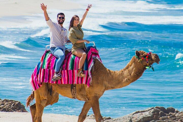 Beach, ATV, and Camel Ride Combo Tour