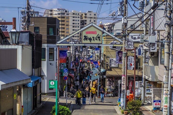 Yanaka Old Town Japanese Sweets Food Walk Private Tour