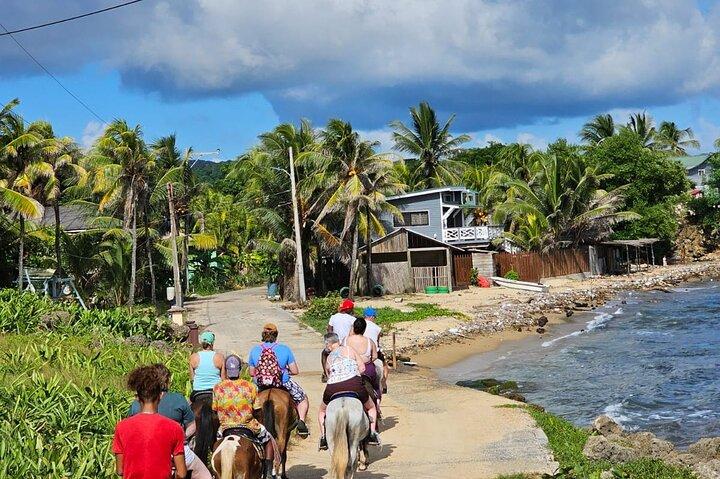 Ultimate Combo Mangrove tour,Horseback Riding, Snorkeling & beach