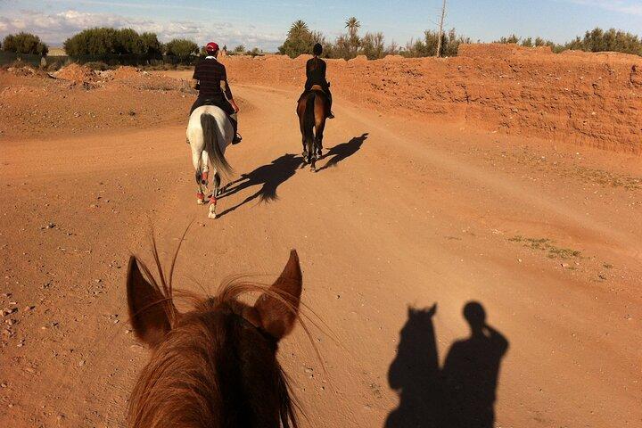 A Day on Horseback in the Countryside with Lunch at the Farm