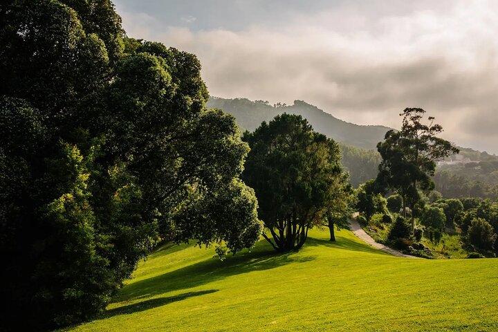 Park and Palace of Monserrate