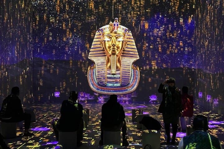 Grand Egyptian Museum, King Tut Gallery, Solar boat & lunch