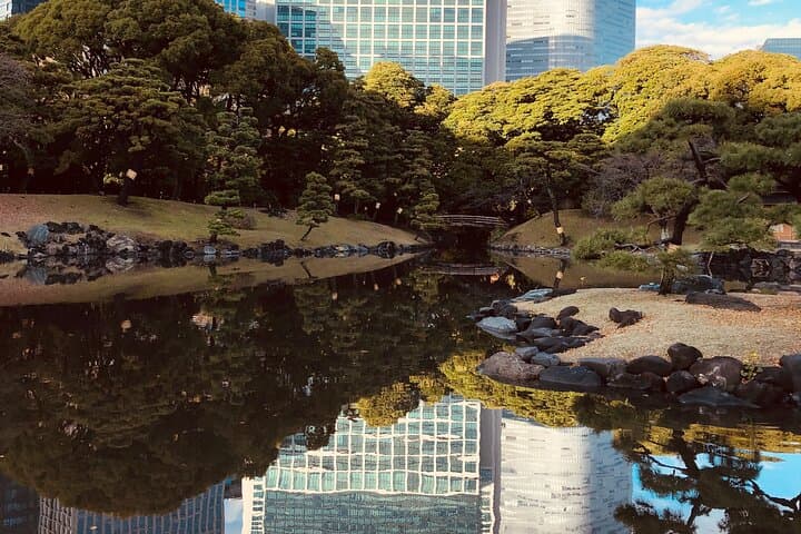 Tokyo Afternoon Tour with Pick-up Service from designated hotels