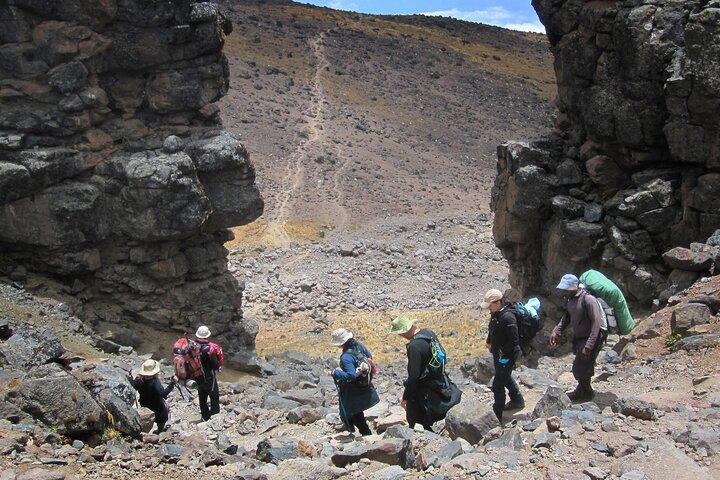 Full Day Private Ngorongoro Crater, Safari Adventure