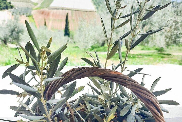 Private tour in Nafplio with Olive oil Tasting Tour in Corinth